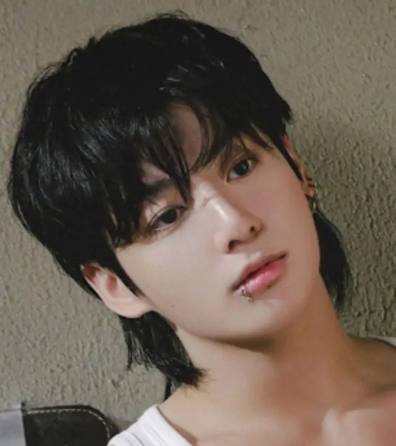Korean Mullet Semi-Leaf Cut